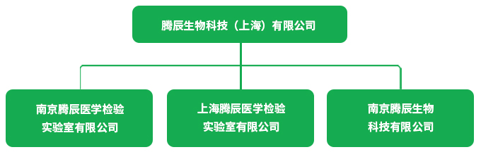 組織架構(gòu)11.15.jpg